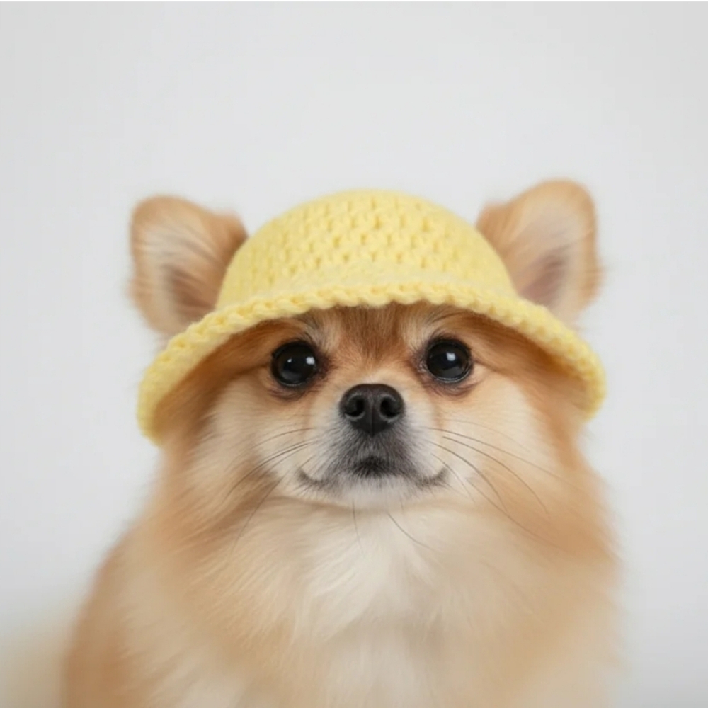 Yellow Bucket Dog Hat, Small Dog Hat, Dog Accessories, Dog Clothes Puppy Apparel